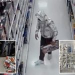 Irvine ‘pasta bandit’ accused of swapping LEGO sets for noodles in $34K scheme