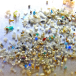 Algae that eat plastic: A new approach to cleaning the world’s waterways