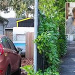 Portland couple sues neighbor over foul stench from tiny home so pungent they need to wear gas masks